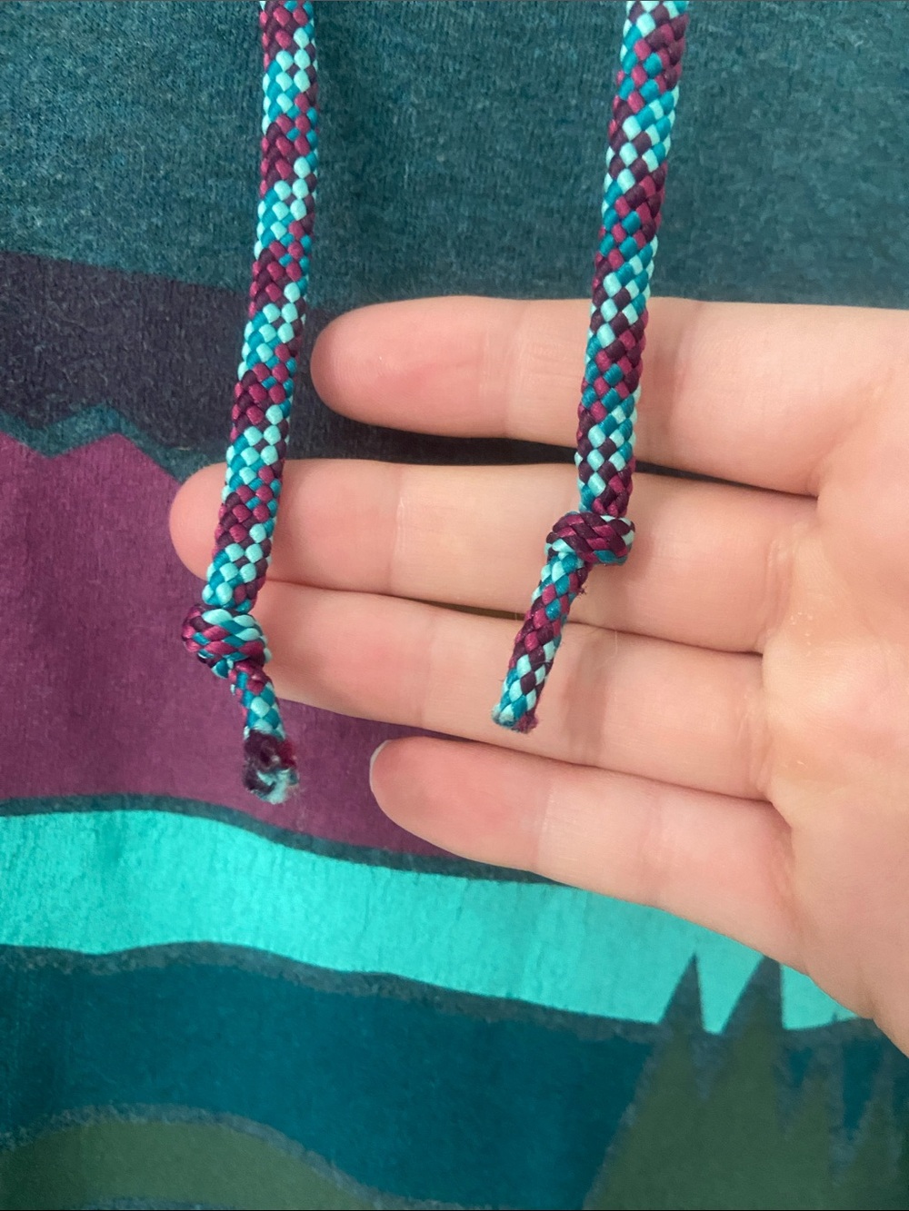L.L. Bean Cozy Camp Graphic Hoodie - Picture 10 of 12
